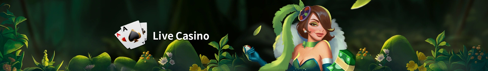 Live Casino at BINGOPLUS